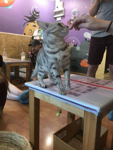 8b142f55-666a-4ae9-8462-37bcf2effb2a