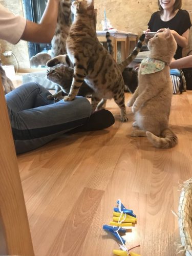 8f6fedfc-c7ff-4feb-b658-1463bb40913f