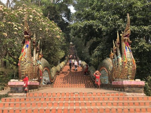 9019106e-090a-4caa-8421-3d51f9c084d4