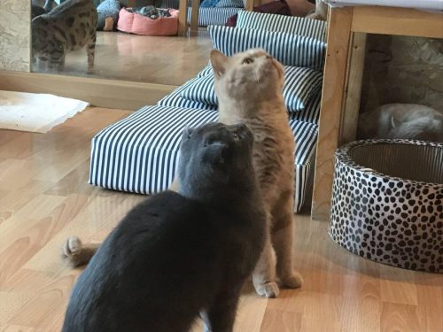 9418c29d-7dd0-40f4-ab52-3f5352bd50d1