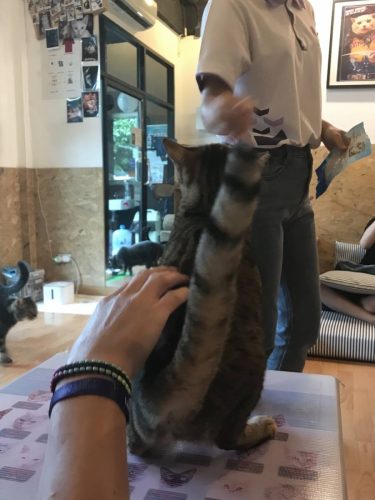 977fd5c7-566f-428b-9f15-ca2b5c9a75f2