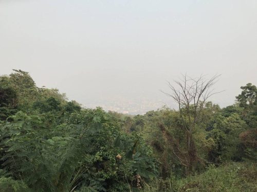 a21e9299-a67e-4346-ae33-c129ef702748