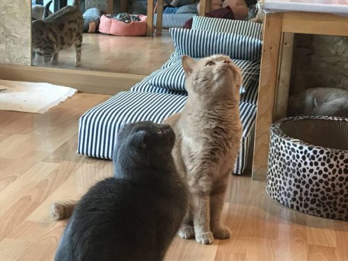 a7e7710c-ffe9-4956-811f-72725ce0e014