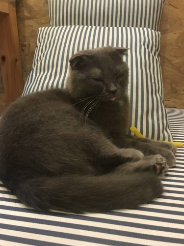 b5912309-a8a4-4246-ba14-e2b565cabee5