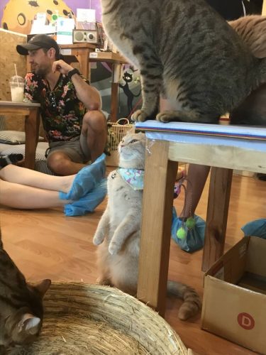 c4462725-9e2f-42fc-bf55-53bb3393fb13