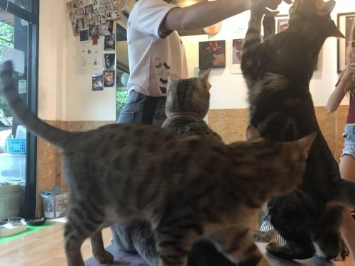 cc5dc309-8ae6-4a4b-9a1f-48fd20feb1db