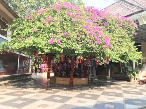 ccfe2a59-ee01-4674-a352-bb0fecd40b75