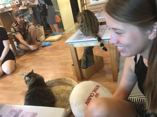 cdd187f3-3dcb-4d03-b06f-66e02c4523ef