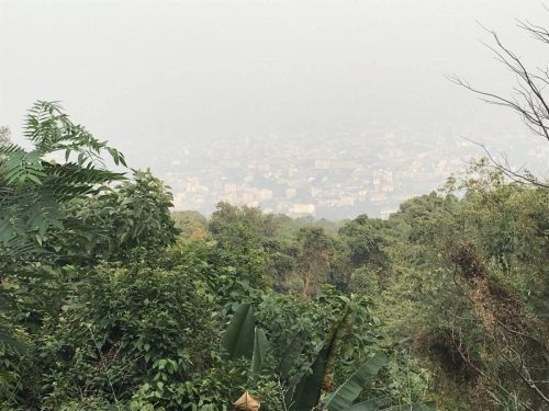 cf6422d8-5139-4699-8d49-3b0a29555a69