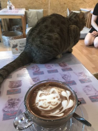 d81eb4d7-f234-4504-aff2-aac9af5fc100