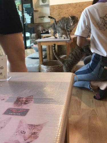 e17ec60e-a339-46cb-b525-42740543520a