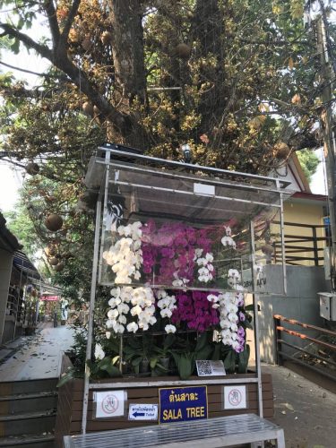 e332f010-03ce-40d2-b4c0-f2609189ec11