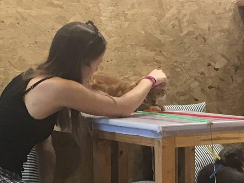 e723fb18-20e2-4f7e-9cf8-234d88d382ed