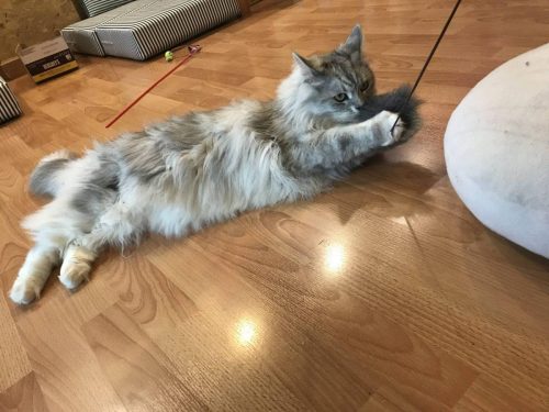 eaa4bbe1-a412-4c08-92fb-7c8cea1ec396