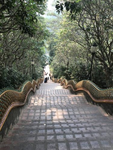 f2fa9e1a-6027-4676-b41f-e7d9b9c5e1b3