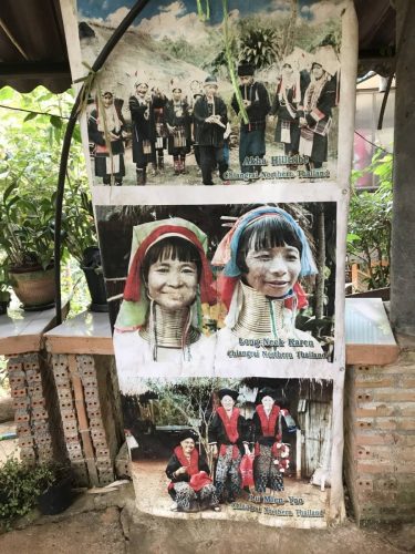 3f68d956-0a95-49d7-910f-6b4e131f1f96