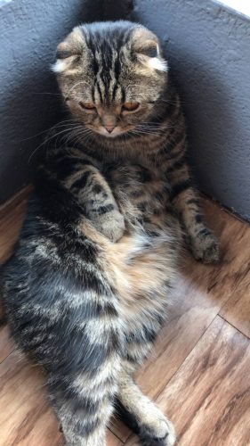 7d730882-b9e4-49db-8b2c-6beb1d2f46fe