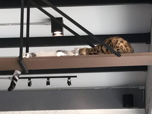 8c427b57-7691-46e6-a164-6ef22403e9fe