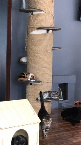 9316cb81-c2b7-4123-b5fc-02198f754168