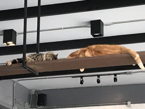 9a675402-484f-4a80-9d01-66754015b86d