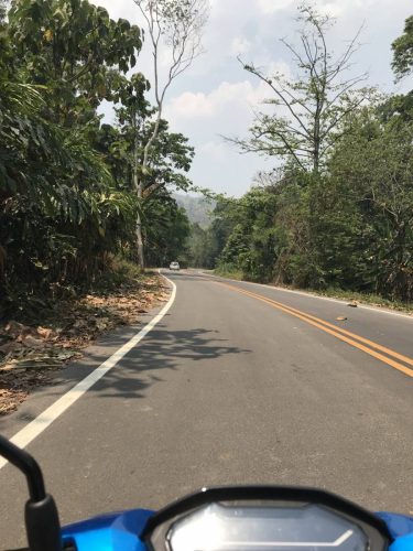 a15367ca-91c7-4a49-ad10-ce0069605814