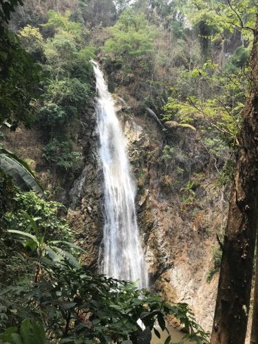 c24cefb4-1a76-487c-9baf-8e95e1e88aa0