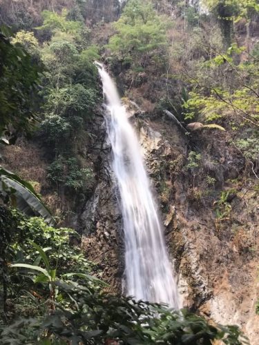 c89db21b-923d-4151-b2ae-d702300b926a