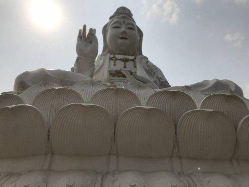 cae928cf-2cff-4ae1-b483-db93166453db