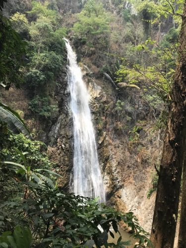 d1e391c1-f0fc-437d-bf1f-b826aeec93b6