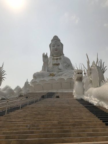 e4be4819-2986-43b7-bf51-f408a282f483