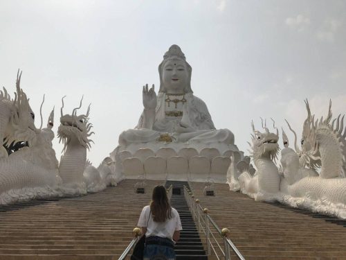 e4d4bb59-341e-479c-837e-4346edc42366