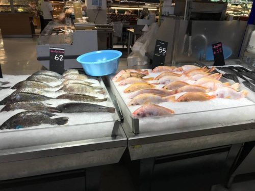 e4ad9830-6447-4cda-9284-18c00e22cf49