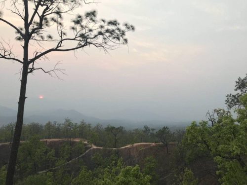 082a281b-59c0-4a1a-b56e-951d7c31bcd6