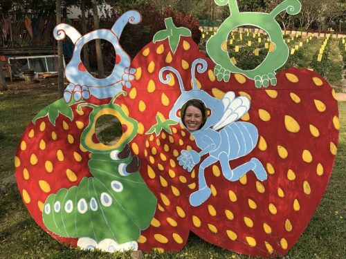 1a75ab35-ddd9-4d19-b7ce-4e0d2434615c