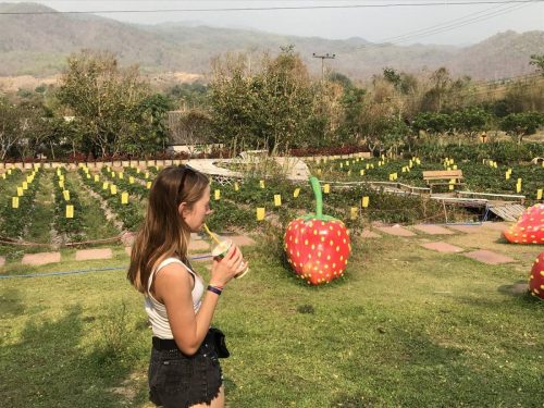 1c542175-6920-4265-81af-2c67d7a94cd3