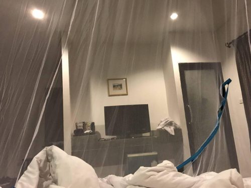 22c00eec-f5a9-4d75-a6d1-bffb10f3810b