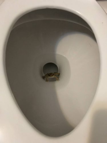 3421688b-6cc4-4fed-a8cd-ab285cd2f517