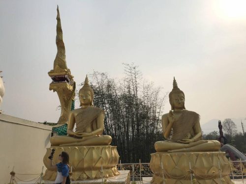 36b96ef4-c336-4ecd-aa72-39893b8cf200