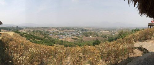 53b44692-7439-457a-8664-82d4750a8ccd