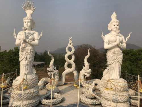 6e420b02-94c8-4e4d-8061-c9250b13cfe6