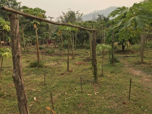 7985da9e-6973-4484-b641-f0b365bf130c