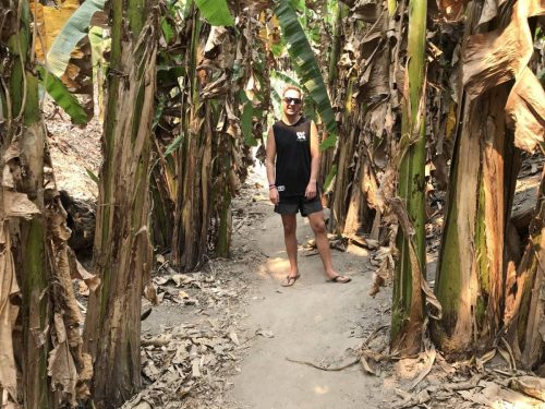 8f6659ff-df92-45ea-a147-fa423161fa04