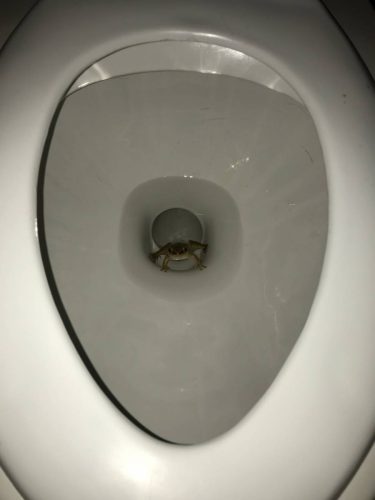 9ce18df3-4df8-4528-ac70-d80c731f392f