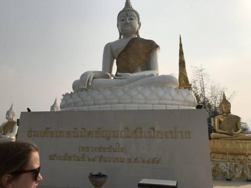 c1ce6df5-aad4-43d5-b42e-42198bedf7bc