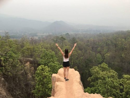 c60e4e0a-3539-4b96-a442-1c2d74f9d25a