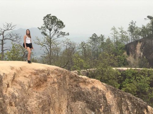 d533fb43-5cf8-452a-9aa6-d59651c2def3