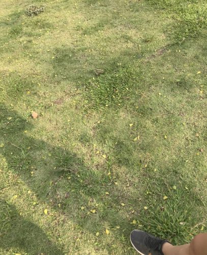 de6130ee-1b39-45ac-a5c6-e447bcf42190