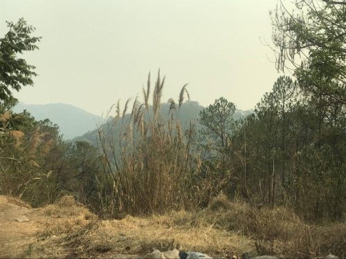 df6f9c11-c859-47a5-b32e-22a6659b3133