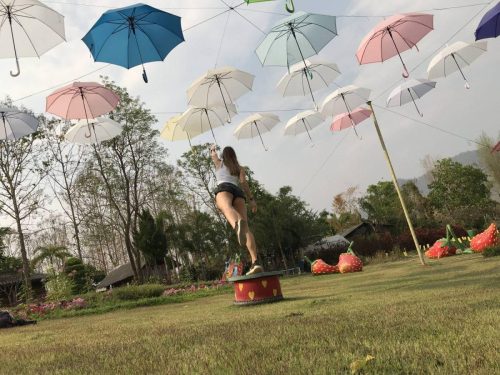 ec226e39-0196-439f-adf8-d40435ce92b8