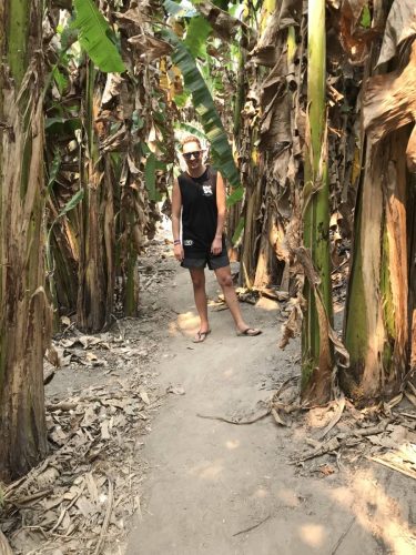 f46d0da4-a4f2-4d5e-bea2-dc00e8bcd4c5